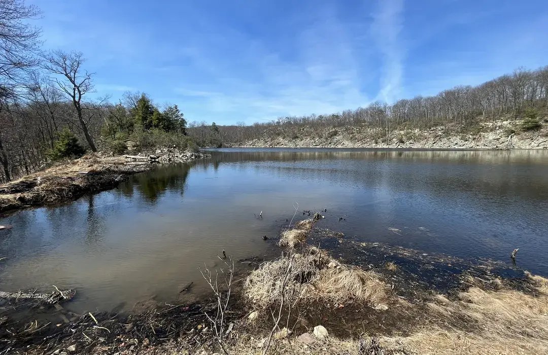 🌳 산단이케 공원 (산단이케 코엔) 이미지 3